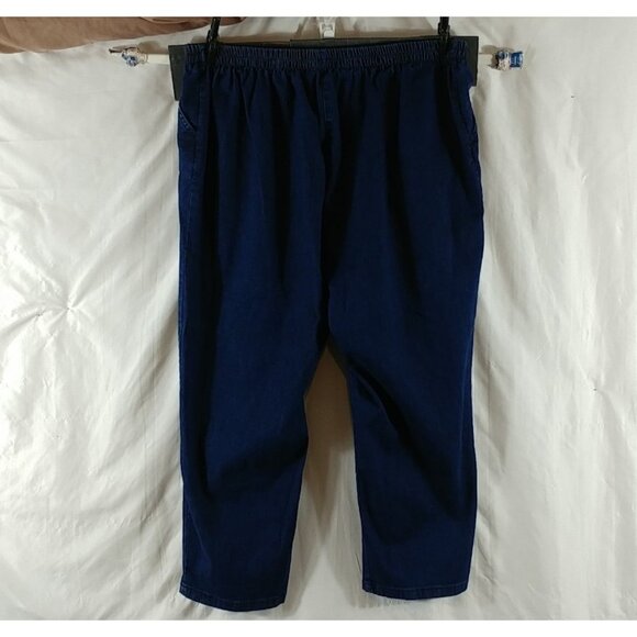 Allison Daley Women's Blue Straight Leg Pull Up Elastic Waist Jeans Plus Size 18 - Picture 2 of 7